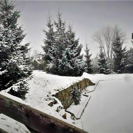Cottage Ozerniy Lazeshchyna Luaran gambar