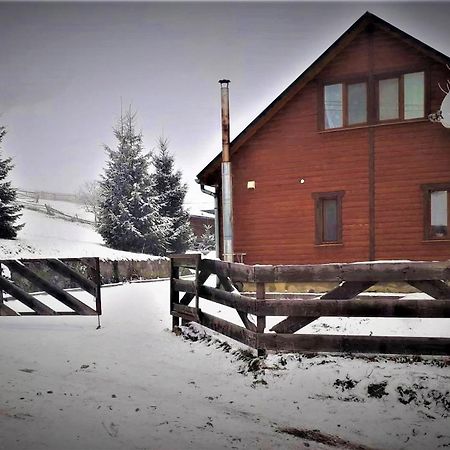Cottage Ozerniy Lazeshchyna Luaran gambar