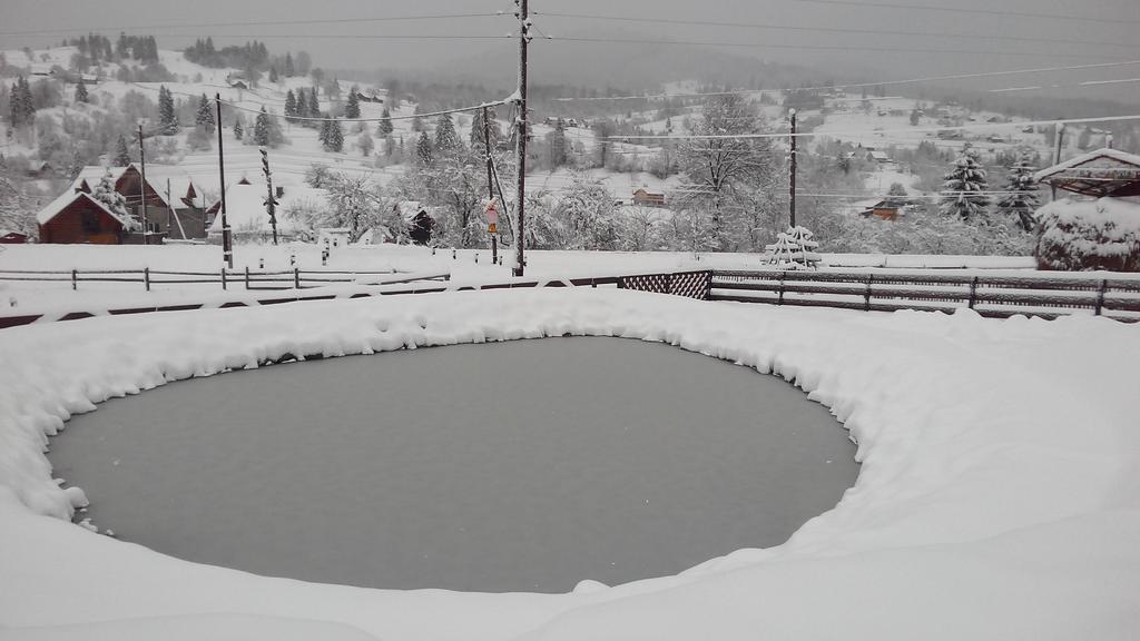 Cottage Ozerniy Lazeshchyna Luaran gambar